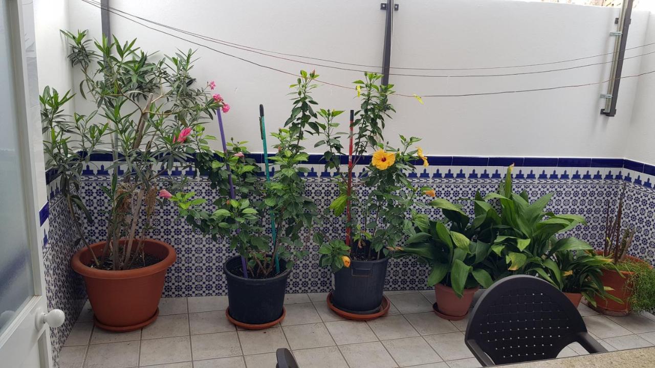 Apartamento Callejuela Las Flores Algodonales Exteriör bild
